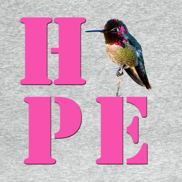 HOPE - Anna's Hummingbird Photo by DeniseBruchmanPhotography